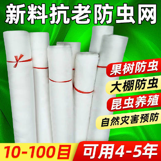 无棣县 防虫网厂家直销防虫网蔬菜大棚果树防虫网40目60目等