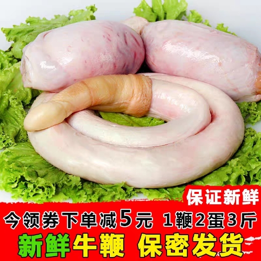 阳信县滋补黄牛鞭宝厂家发货新鲜大牛鞭大量批发