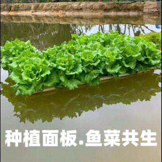 上饶无土栽培设备厂家直销水上种植设备新型柔性飘浮板