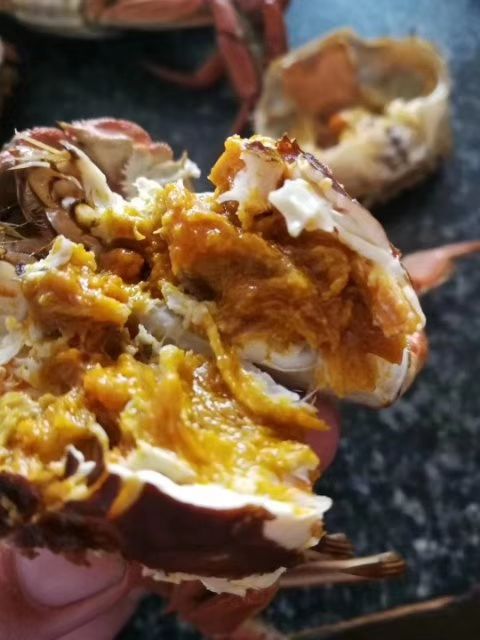 盐城生态大闸蟹 六月黄上市啦