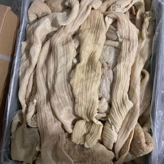 阳信县破开去油牛大肠牛杂汤牛肠纯干无油厂家直销大量批发