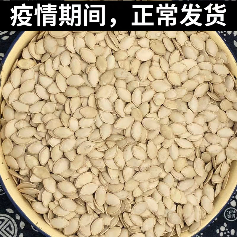 南瓜子仁 原料 大片 中片 小片 角料 巴盟本地货