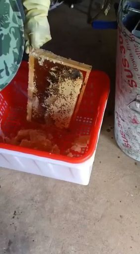 永春县 福建泉州正百花蜜高浓度假一赔十