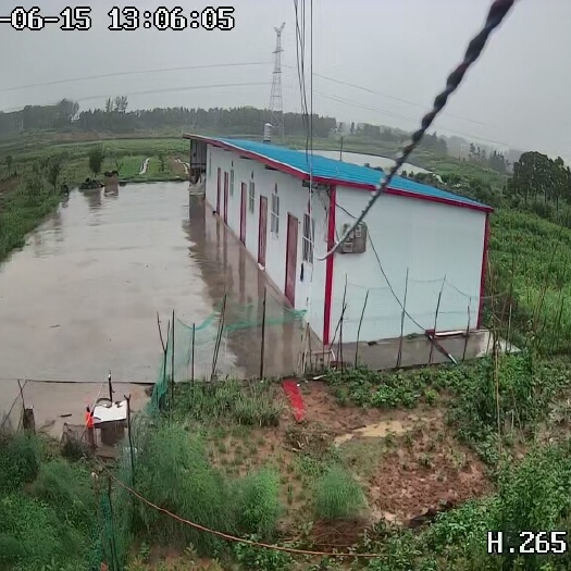 长丰县 本果园占地两百亩，水面一百三十多亩，提供养殖场所，以养鹅为