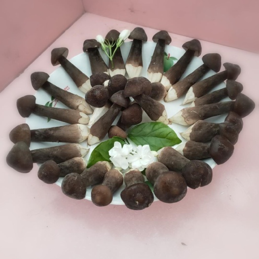 梁山县黑皮鸡枞菌