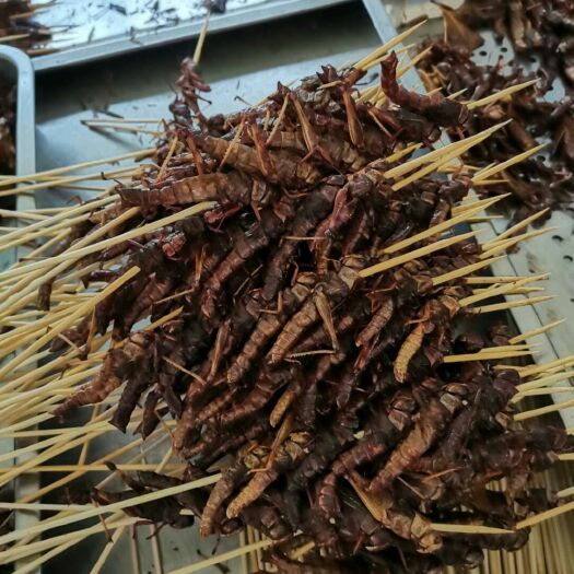 乐陵市 蚂蚱串