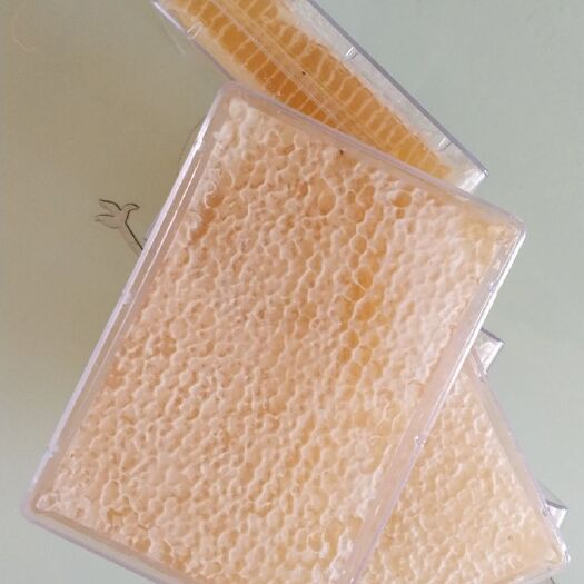 邢台 意蜂百花纯正天然蜂巢蜜透明塑料盒装500g
