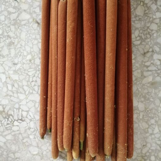 信阳 蒲黄绒毛蜡烛