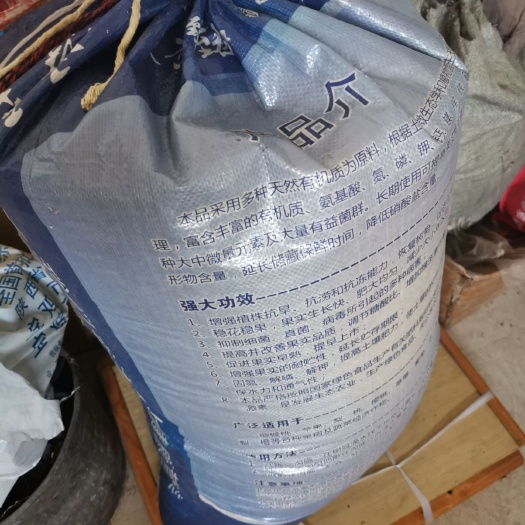 眉县西农189号小麦