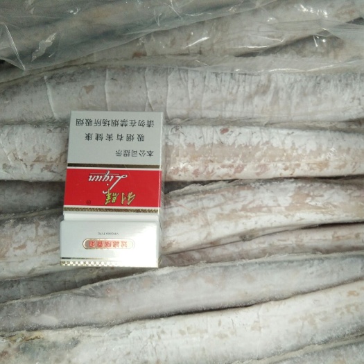 滨州舟山带鱼 正宗雷达网舟山小眼油带