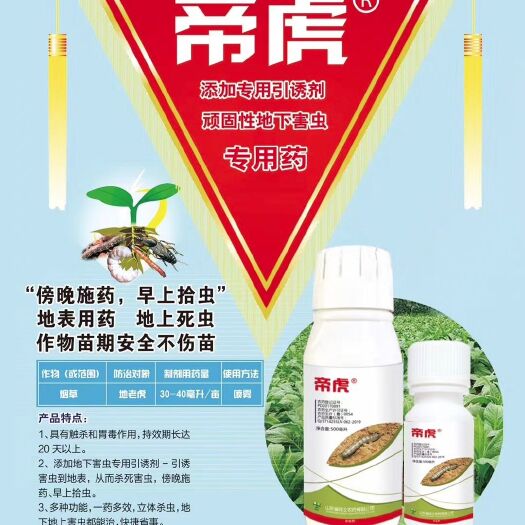 郑州氟氯氰菊酯  帝虎  专治地老虎  傍晚用药、早上拾虫