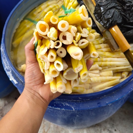 滎經(jīng)縣 水竹筍