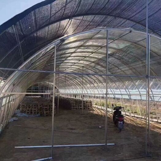 天津养殖大棚 大棚管厂家直销，价格美丽，工期短