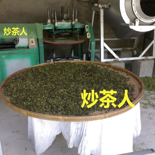 安溪县安溪铁观音 安溪县长带货特产（铁观音）