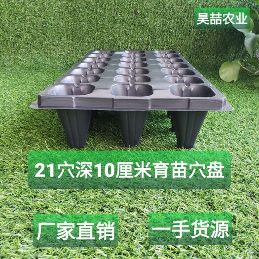 莘县高脚草莓林木育苗穴盘21孔32孔50穴草莓育苗穴盘厂家直销