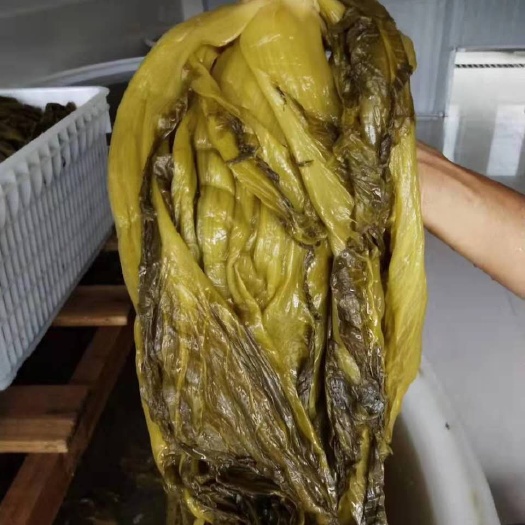 重庆市泡菜  老坛腌制  厂家直销