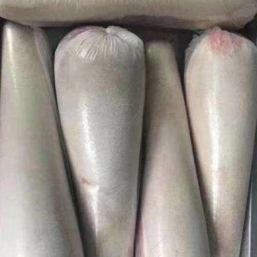 阳信县牛舌