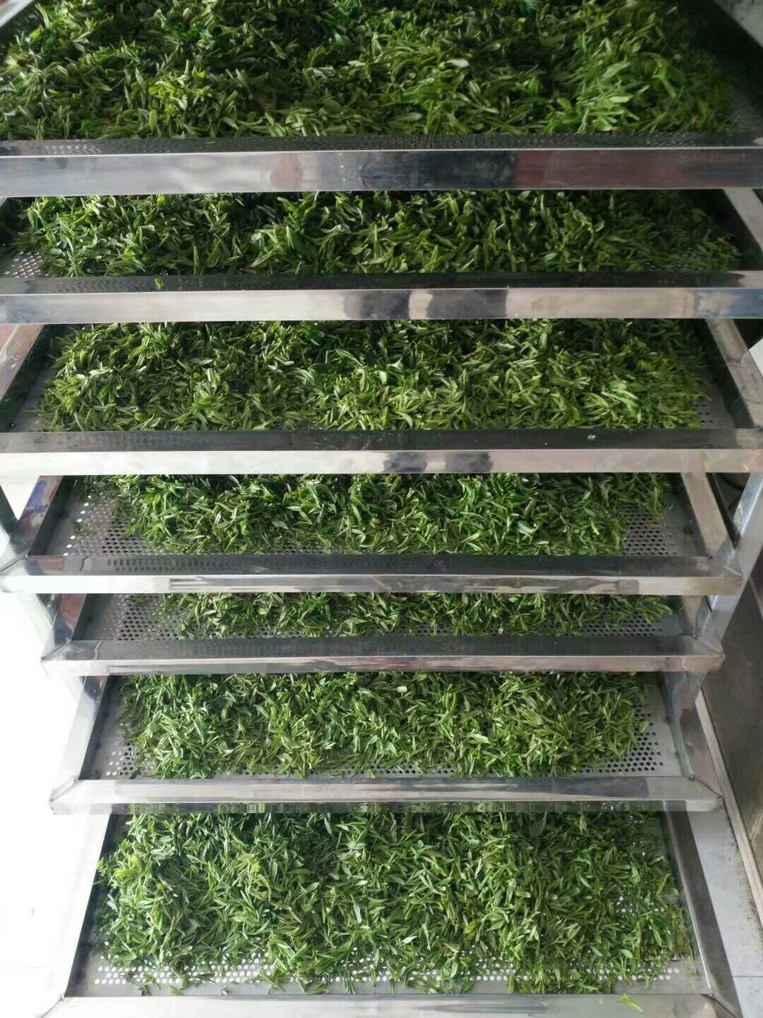  大别山石关福地长年供应岳西翠兰系列。翠兰。红茶。绿茶。