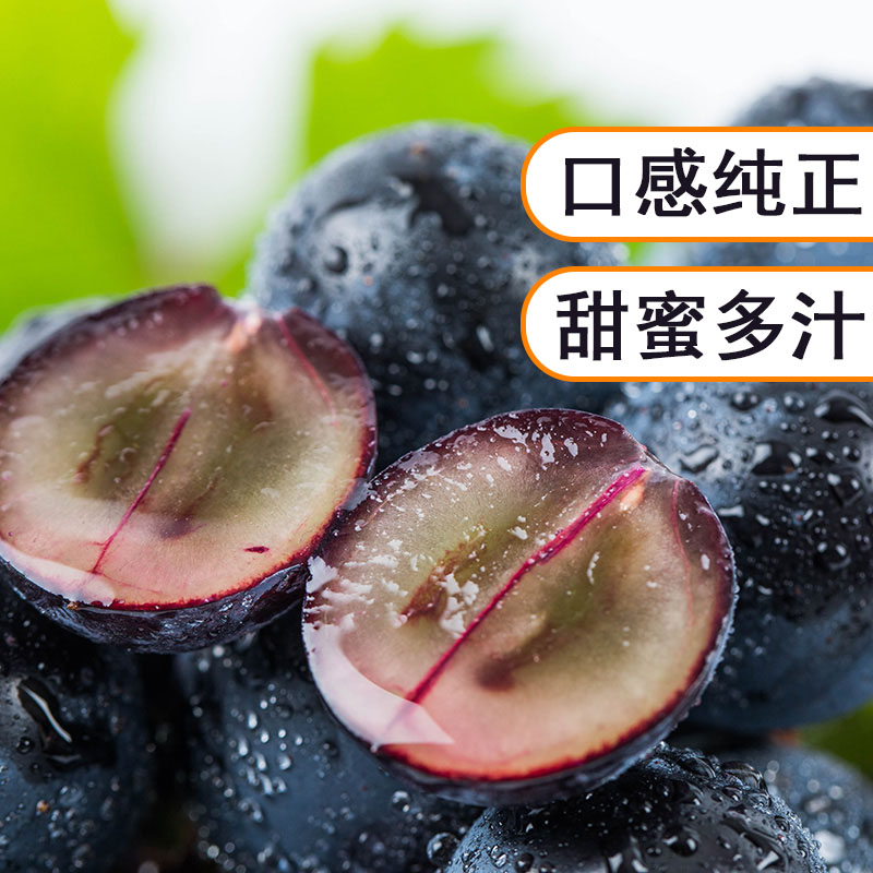  夏黑葡萄整箱5斤 新鲜当季水果黑提黑加仑巨峰无籽葡萄