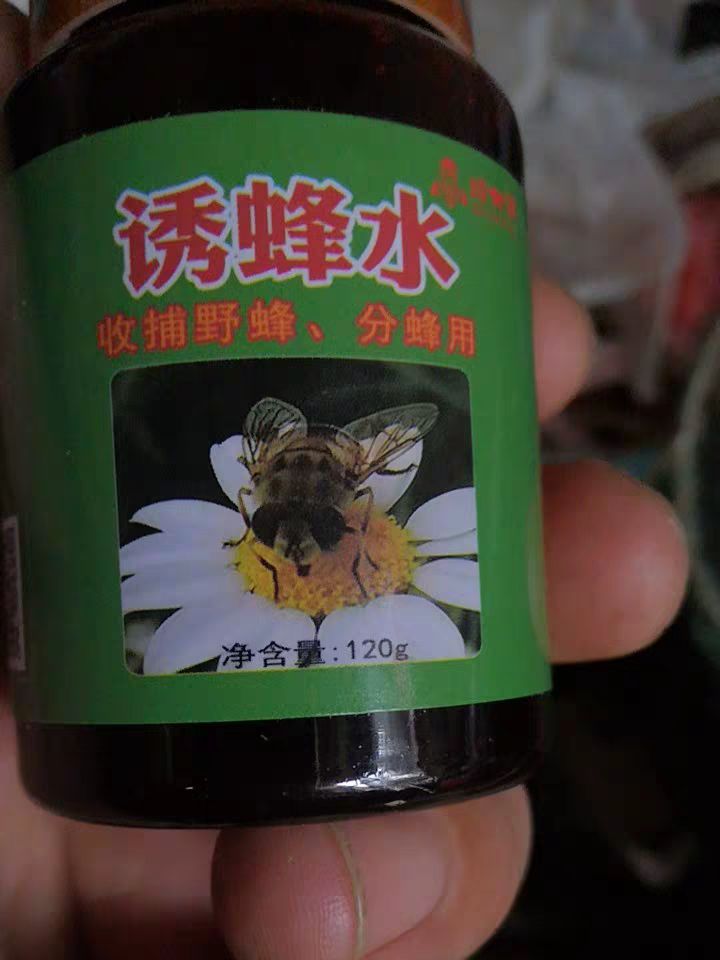 招蜂水誘蜂水蜜蜂信息素神奇引蜂水蜜蜂野外誘蜜蜂工具招蜂引