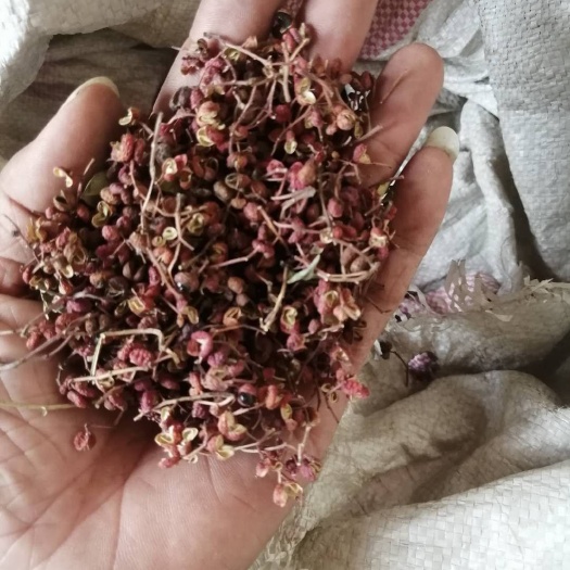 涉县涉县花椒 一级 干花椒