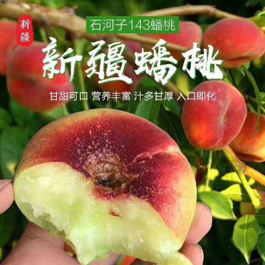 石河子市 中国蟠桃之乡-新疆石河子蟠桃熟啦！