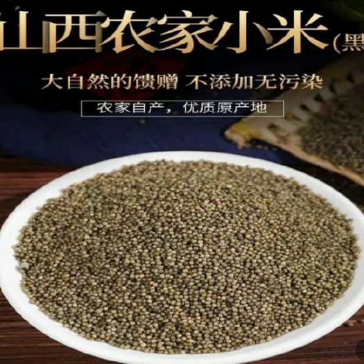 长治 小米