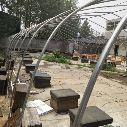 东海县 出售中蜂、蜂王、蜂群！公司规模化养殖，全程技术指导