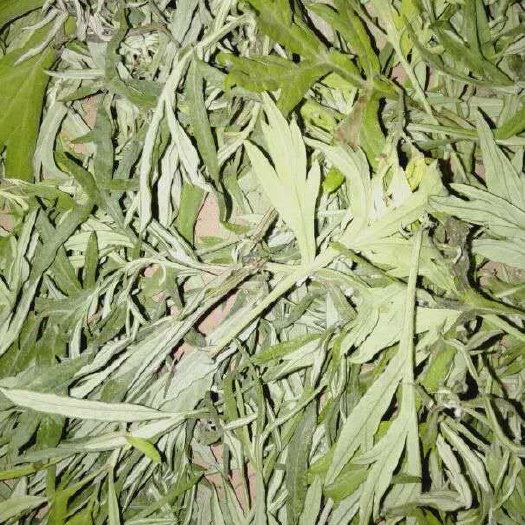 顺平县艾草 农产品