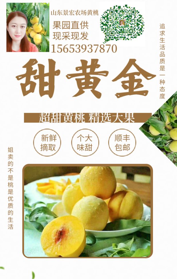  甜黄金黄桃蜜桃包甜果园直发