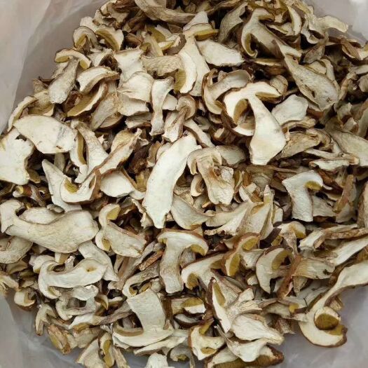 镇康县 【牛肝菌】
牛肝菌是一种能入药的菌，它入药后药用价值
