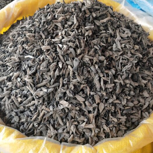 长沙东北黑山1.0黑木耳