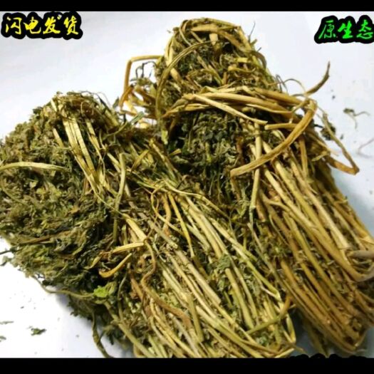 丹凤县特香料AAA 丹凤特产香苜蓿批发