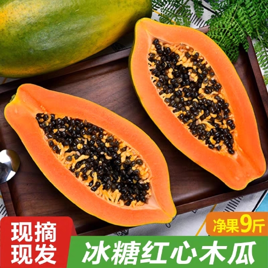 广西红心木瓜代发2/9斤奶香乳瓜冰糖心甜糯新鲜万寿果当季水果