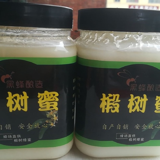 团风县椴树蜜 大自然的礼物，真正的好蜜