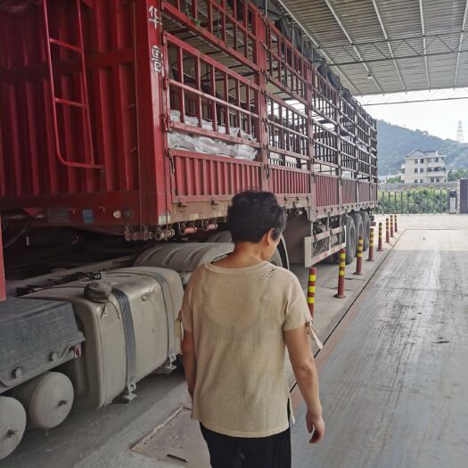 台州糠麸饲料 油糠 米糠浙江 饲料原料 现磨无杂质 保证原版不参假