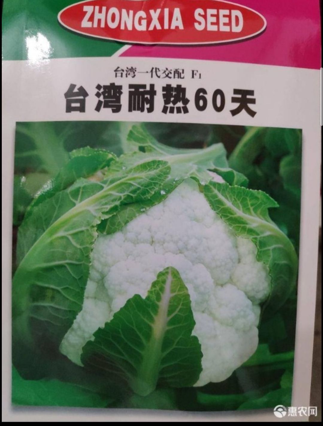 白面青梗松花菜种子 白面青梗花菜种子          耐热60天