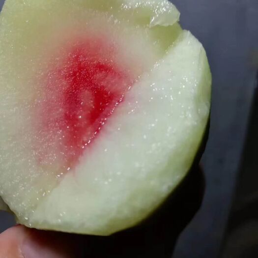 乳源县 特大樱嘴桃现摘广东脆桃子水果蜜桃新鲜现货