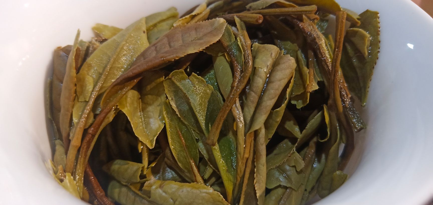 正宗福鼎白茶2020年荒野白牡丹