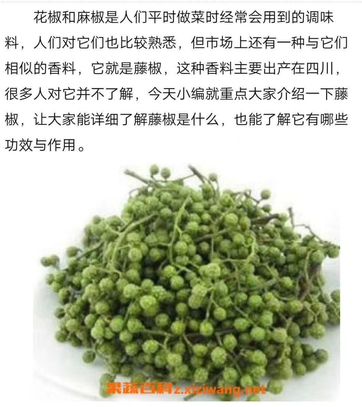  2020年藤椒即将上市