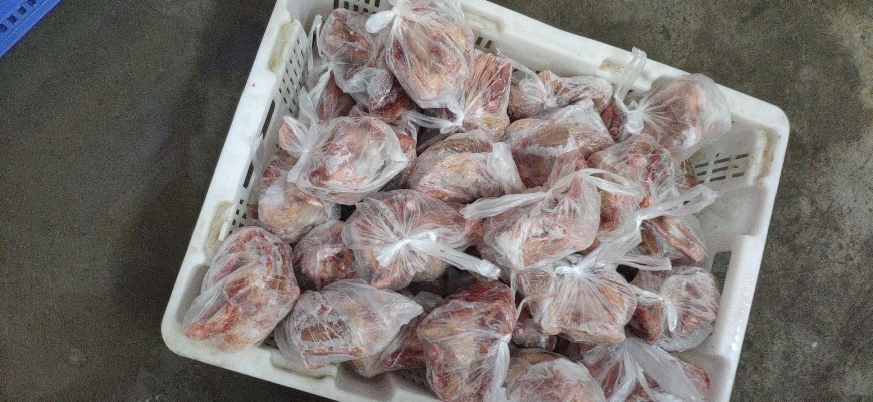 白鸽  速冻乳鸽批发(全国发货