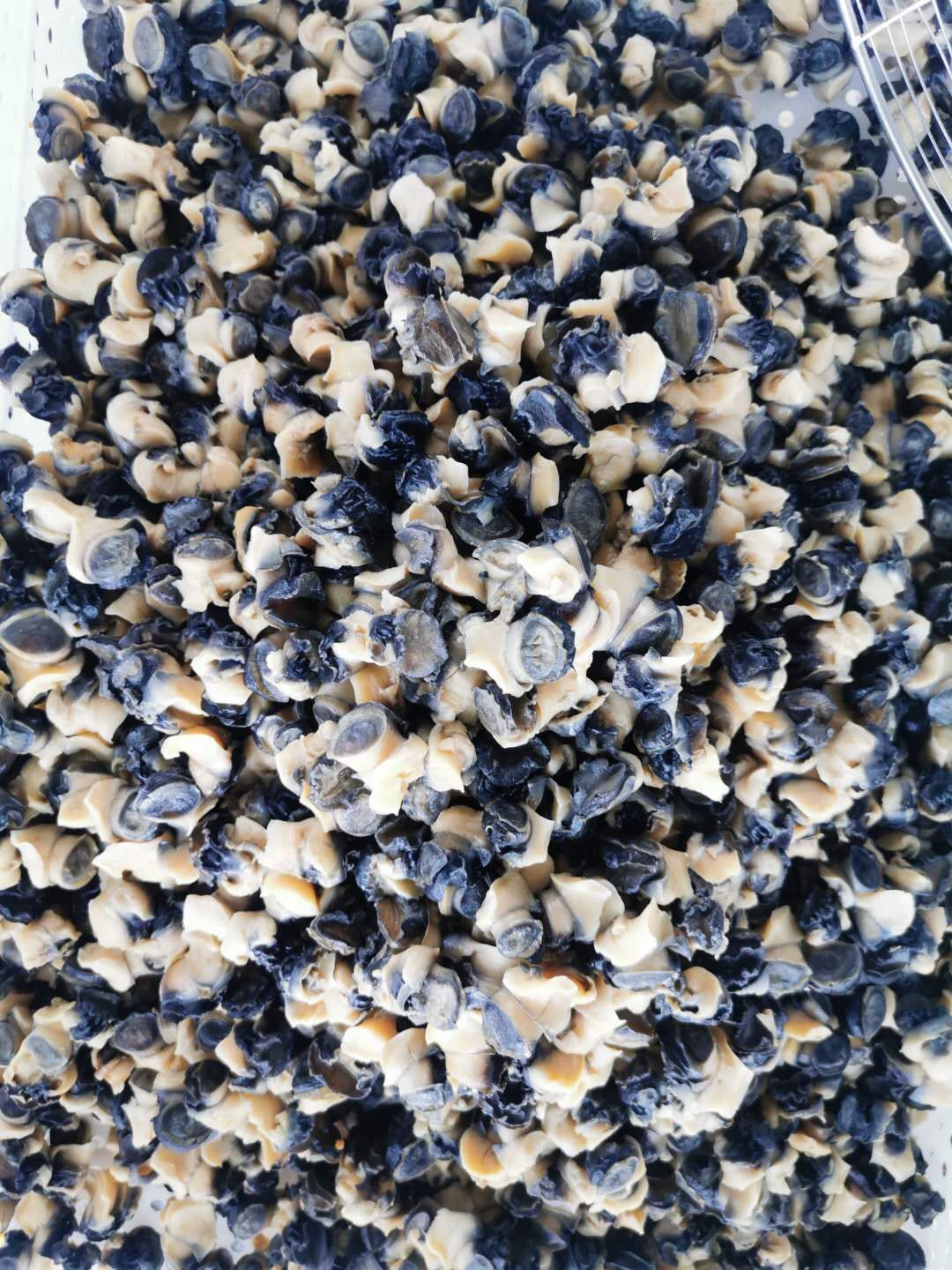 田螺肉石螺肉新鲜