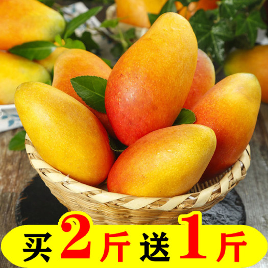 百色 芒果产地！！！批发零售台农 金煌 贵妃 买3斤送2斤