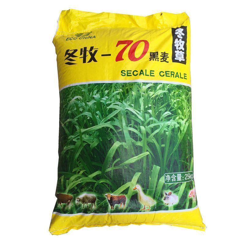 冬牧草種子 冬牧70黑麥草種子寬葉秋冬麥草耐寒高產(chǎn)蓄牧草豬牛羊雞鴨鵝魚草