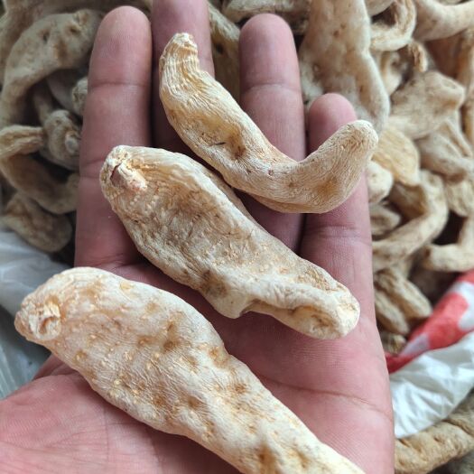 峨边县 四川乐山半人工室外种植天麻含量高，价批发，