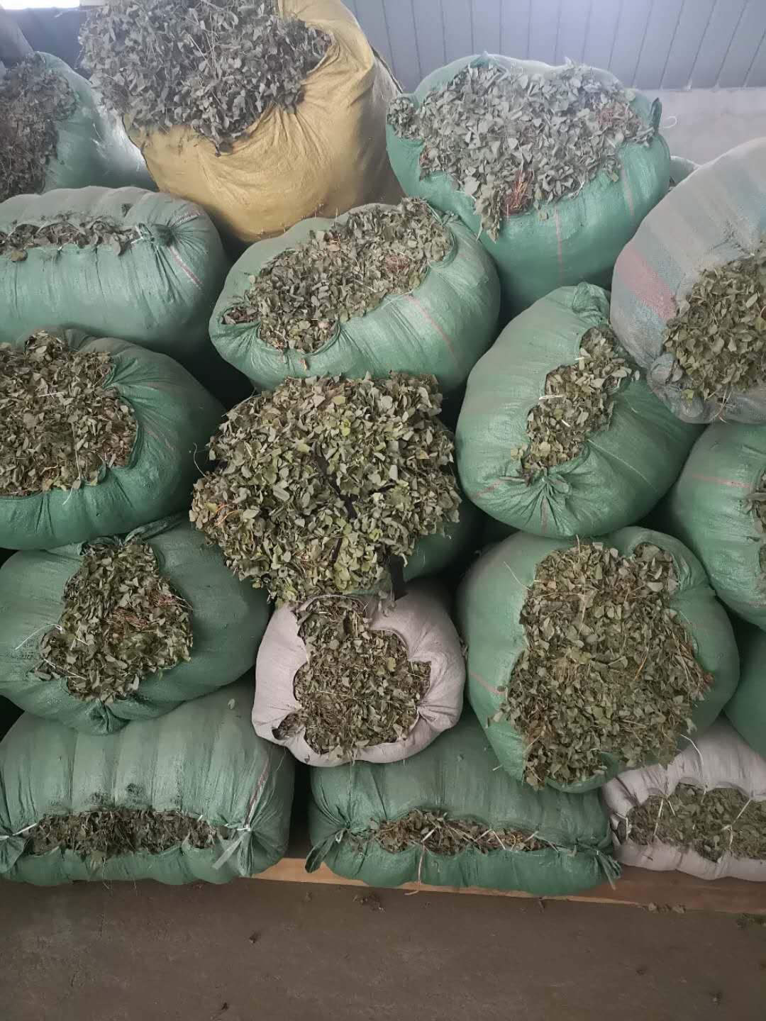 小叶淫羊霍 杂草少。货干净。