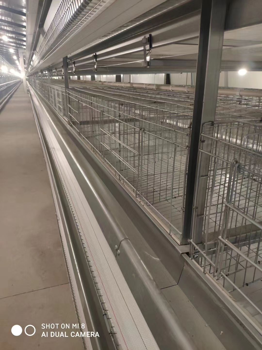 小层叠蛋鸡笼设备