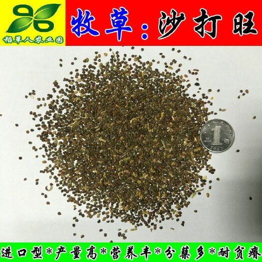 南宁 沙打旺种子 多年生牧草 绿肥草 护坡草  耐寒耐旱耐盐碱