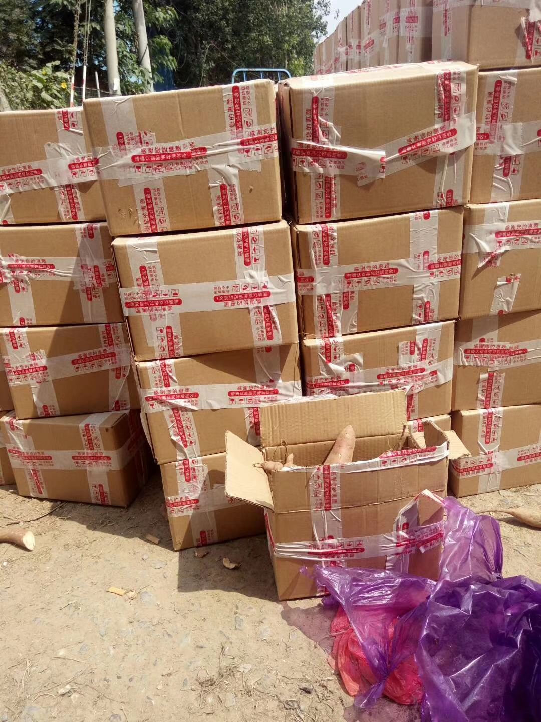 龙薯  龙九红薯1两起步上不限
电商前置仓打包，可视频看货，产地直供