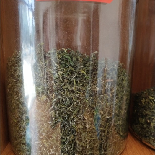 阳信县日照绿茶 春茶日照绿